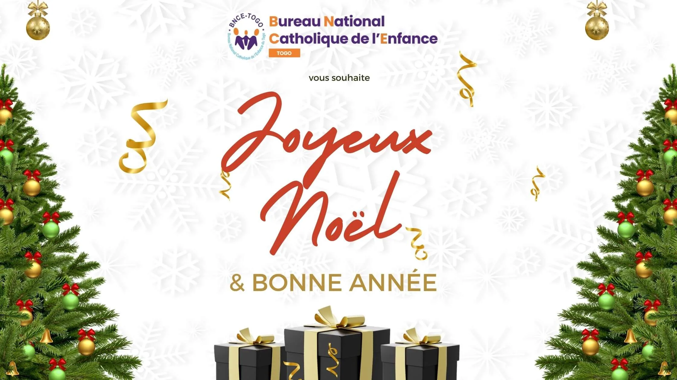 Partage de Joie et Espoir : Retour sur une Année Inspirante avec le BNCE-TOGO et ses Précieux Partenaires