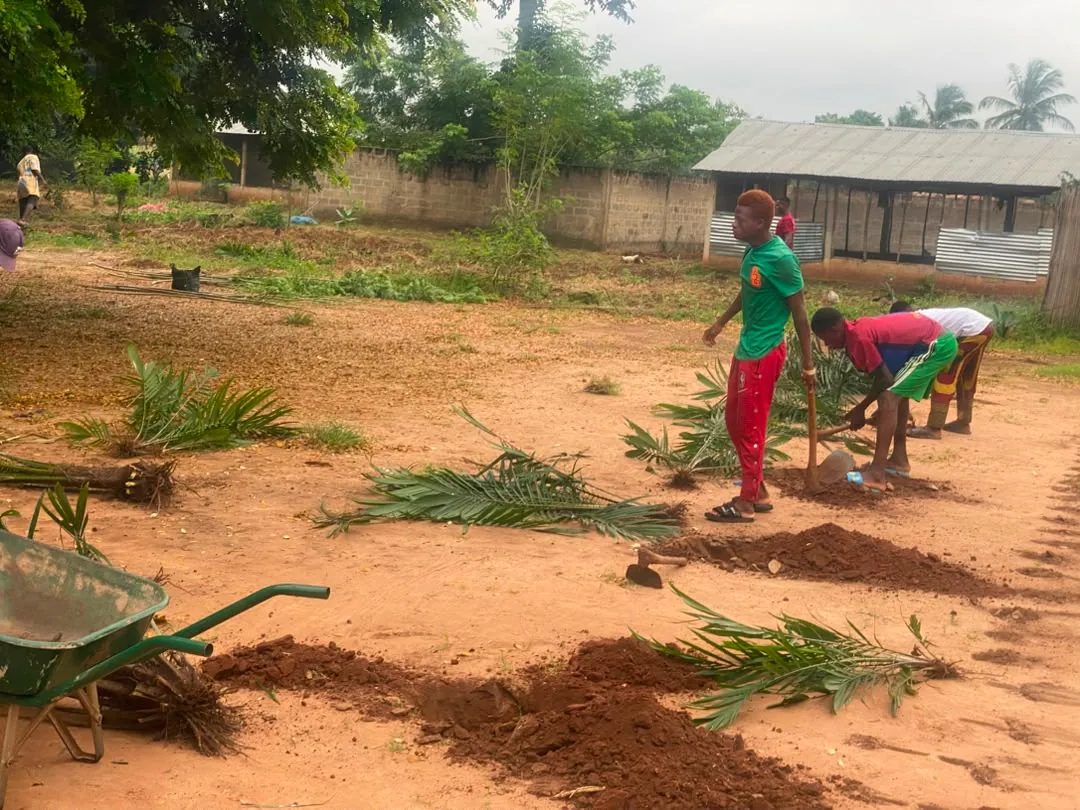Le BNCE-TOGO s’engage pour la protection de l’environnement